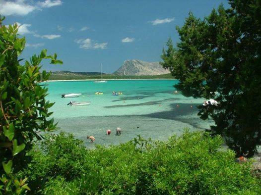Nonna Antonietta Сasa de vacaciones San Teodoro (Sardinia)