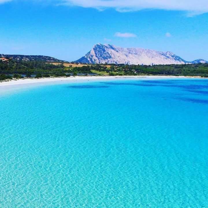 Nonna Antonietta Сasa de vacaciones *
