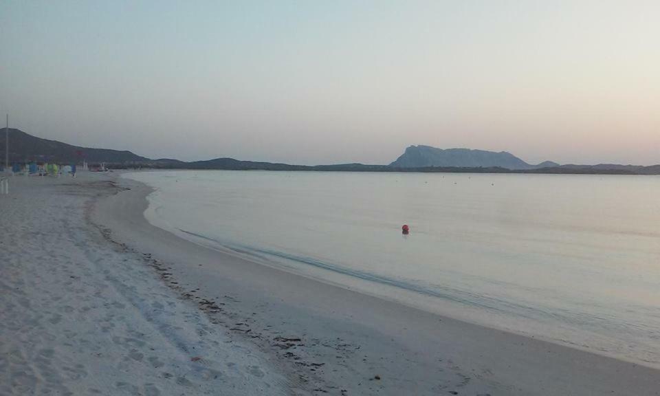 Nonna Antonietta Сasa de vacaciones San Teodoro (Sardinia)